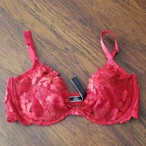 Victorias Secret Elegant Red Floral Low Cut Demi Bra Size 38DD Valentines Day